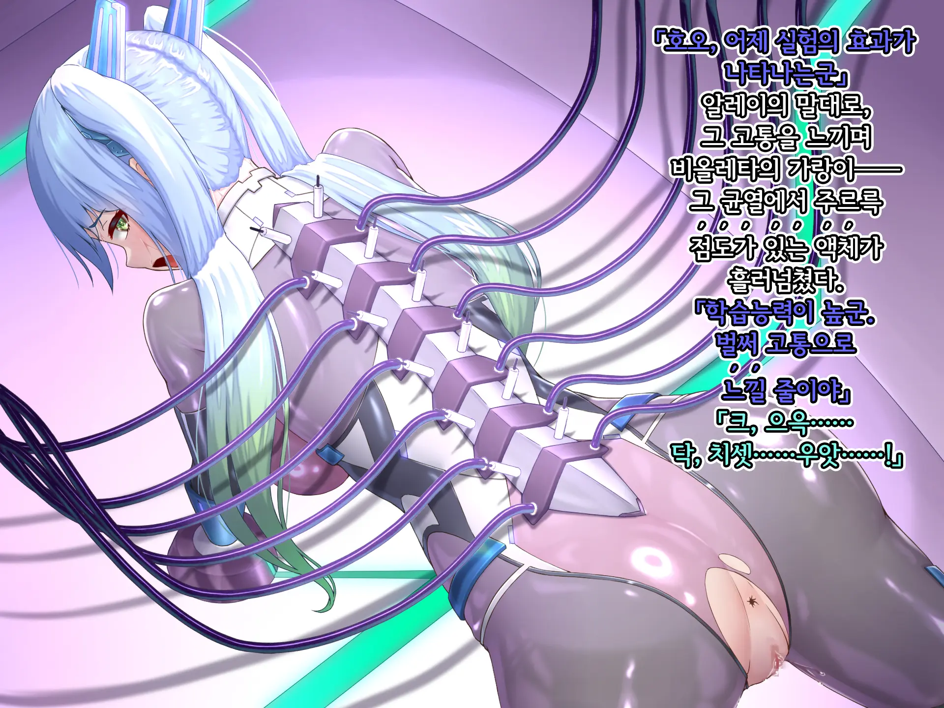 Eidos Arcadia -Kyoei Choukyou Reijuu No Denei Hime- | 에이도스 아르카디아 -허영조교 예속의 전영희-